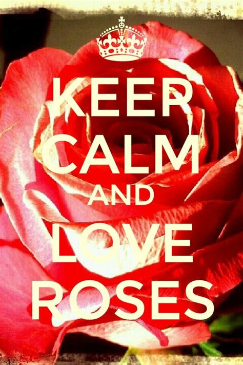 Keep Calm And Love Roses Calm Calm Quotes Keep Calm Quotes