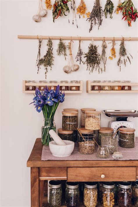 10 Must Have Herbs For Your Home Herbal Apothecary In 2020 Apothecary