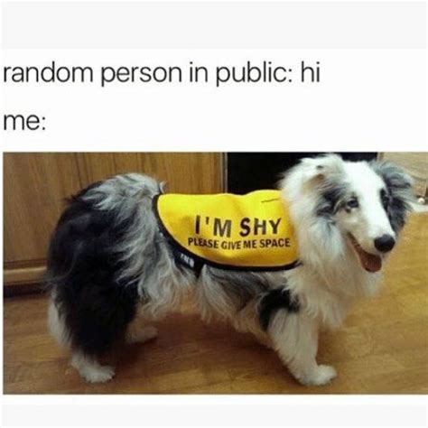 Funny Memes Only Shy People Will Find Relatable Funny Funny Pictures