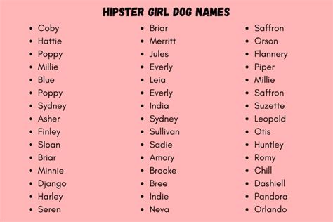 250 Cutest Hipster Girl Dog Names Ideas You Would Love 2024