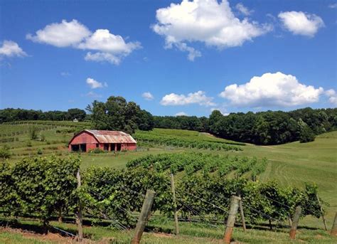 Three Sisters Vineyards Wine Tour North Georgia Georgia