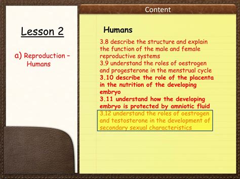 Ppt Igcse Biology Section 3 Lesson 2 Powerpoint Presentation Free Download Id 464660