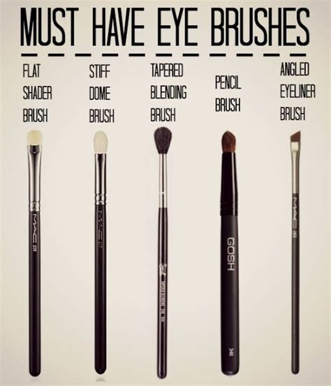 Some people have asked me how i do my eyebrows. 5 Eye Brushes Every Woman Should Own | Eye makeup brushes ...