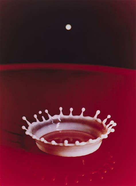 Flash Photographs By Harold Edgerton From The Whitneys Collection