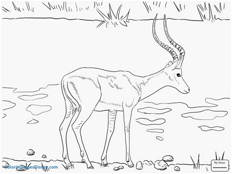 Wildebeest Cartoon Coloring Coloring Pages