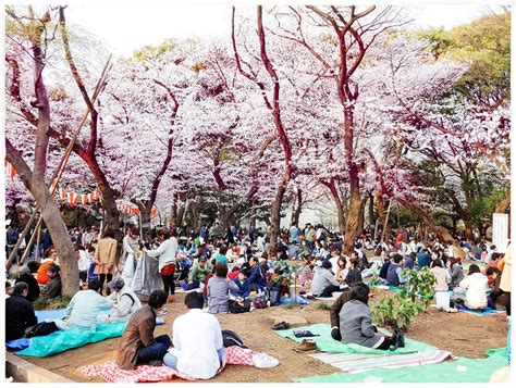 Hanami Cherry Blossom Festival In Japan — Places In Pixel