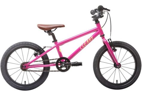 The 10 Best 16 Inch Bikes For Kids Aged 4 To 6