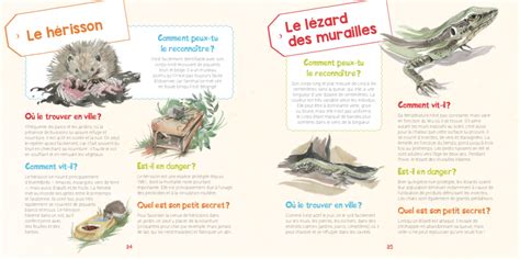 Je Découvre Les Animaux Sauvages Dans Ma Ville Et Japprends à Les