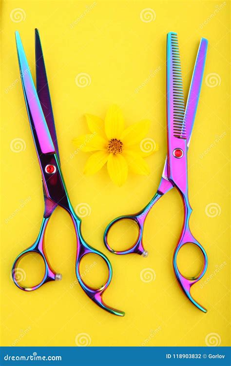 Hairstyle Tools Scissors Studio Quality Stock Photo Image Of Hair