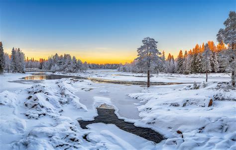 Wallpaper Winter Snow Trees River Finland Finland Oulu Oulu