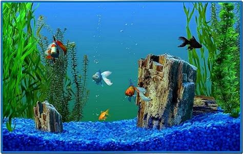 Windows XP Media Center Edition Aquarium Screensaver - Download ...