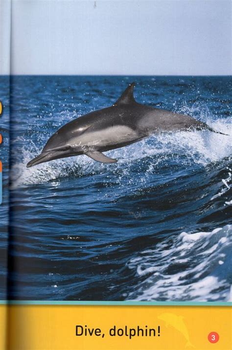 Dive Dolphin National Geographic Kids Readers Level Pre Reader
