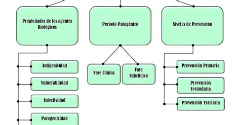 Historia Natural De La Enfermedad Mapa Conceptual Kulturaupice Porn