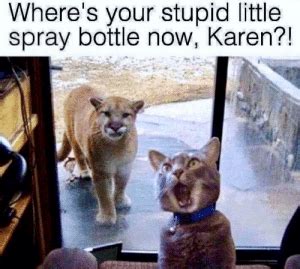 My first woman yelling at cat meme. Where's Your Stupid Little Spray Bottle Now Karen ...