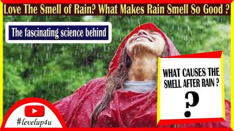 Why Does Rain Smellsmelly Rain Known As Petrichorpleasant Rain Smell
