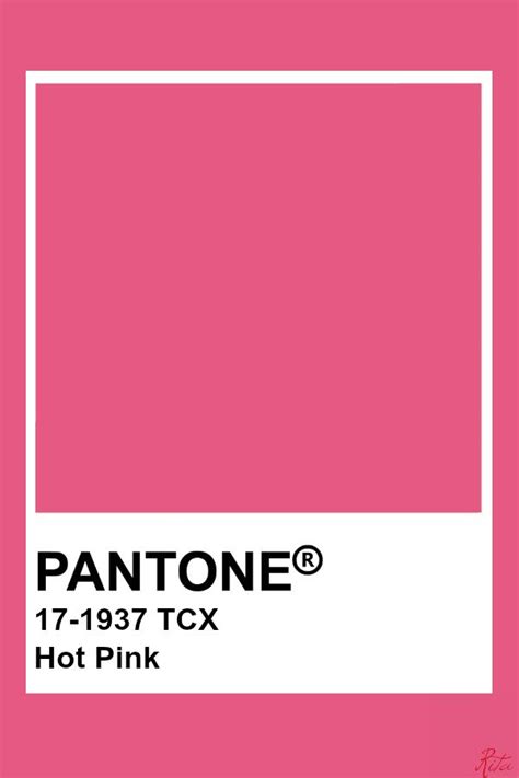 Pantone Hot Pink Pantone Color Hotpink Pantone Tavolozze Dei