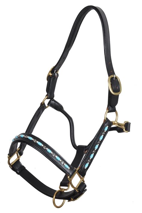 Turquoise Beaded Leather Padded Show Horse Halters Halter Sie