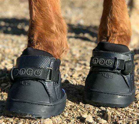 Horse Sneakers Ubicaciondepersonascdmxgobmx