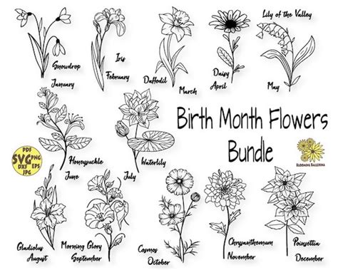 Birth Month Flowers Svg Bundle Birth Month Flower Flower Etsy Australia