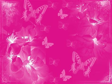 Hot Pink Butterfly Background