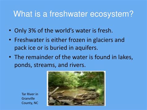 Ppt Freshwater Ecosystem Powerpoint Presentation Free Download Id