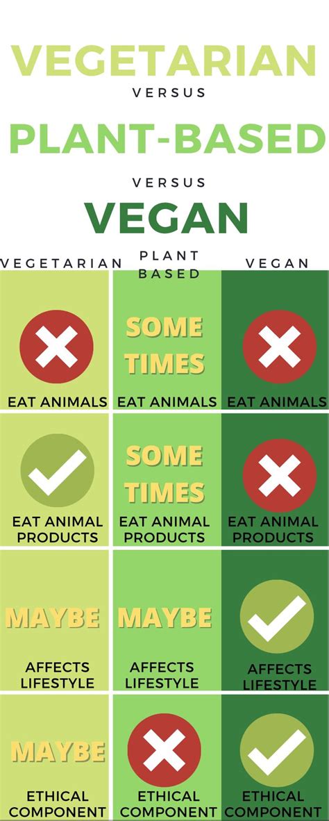 Vegan Vs Vegetarian Vs Plant Based Diet In 2023 Vegetarian Vs Vegan