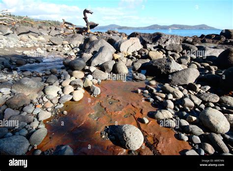 Low Tide Rocks Stock Photo Alamy