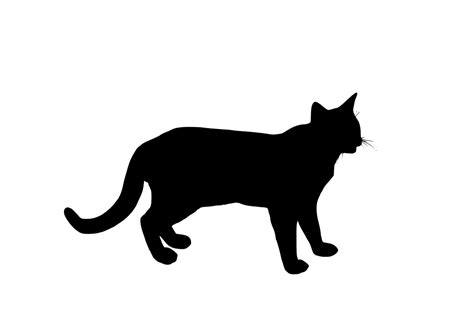 Svg Pet Cat Free Svg Image And Icon Svg Silh