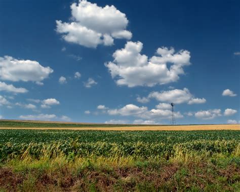 Free Images Landscape Horizon Marsh Cloud Plant Sky Field