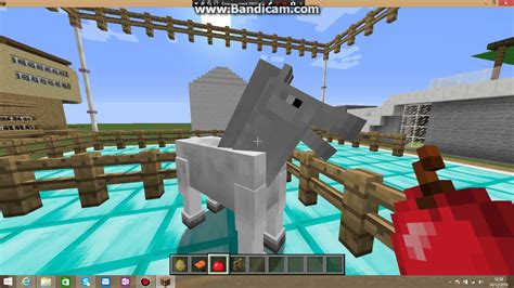 tuto elever un cheval minecraft - YouTube