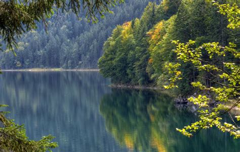Wallpaper Autumn Forest Reflection Germany Bayern Germany Water