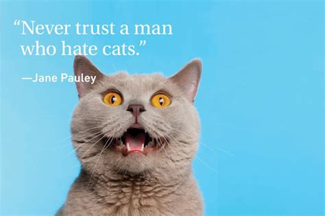 29 Cat Quotes Every Cat Owner Can Appreciate Cat Quotes Cat Owners Cats