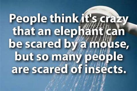 The Best Of Shower Thoughts Gallery Ebaums World