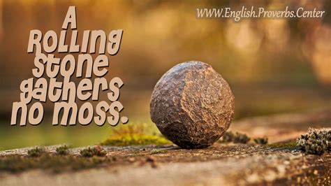 English Proverb A Rolling Stone Gathers No Moss The Meaning