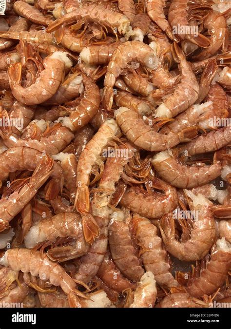 Shrimp I Fish Market Stock Photo Alamy