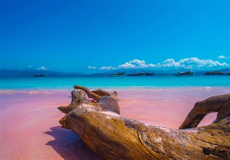 MyBestPlace - Pantai Merah, the Pink Beach of Indonesia