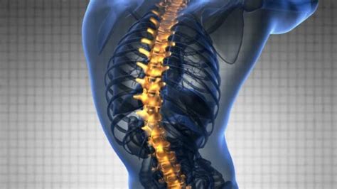 Backbone Backache Science Anatomy Scan Of Human Spine Bones Glowing