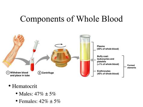 Ppt Blood Powerpoint Presentation Free Download Id1113262