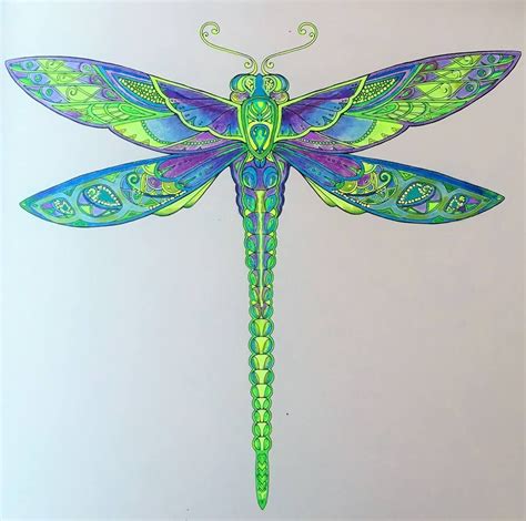 Coloured By Julia Mary Hill‎ Pretty Dragonfly From The Enchanted