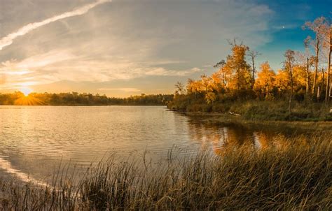 Wallpaper Autumn Forest The Sky Grass The Sun Trees Lake Pond