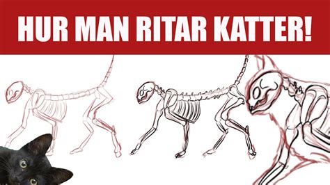 Hur man ritar Katter - YouTube