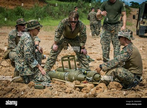 Us Marines With 3d Explosive Ordnance Disposal Company 9th Engineer