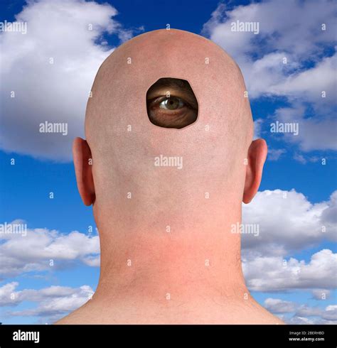 Eyes In The Back Of Head Stock Photo Alamy