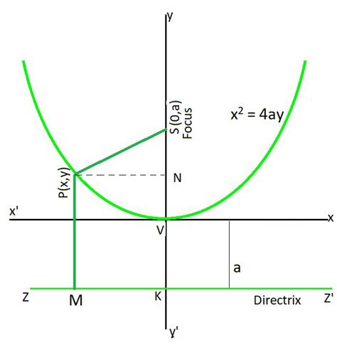 Parabola Equations And Graphs Directrix And Focus And How To Find