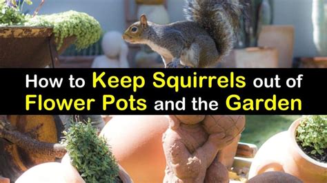Keep it simple, keep it pretty. How to Keep Squirrels Out of Flower Pots and the Garden