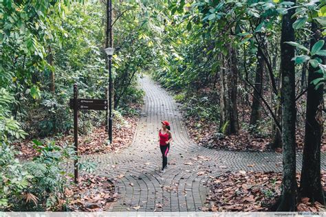 ✪ nice bukit batok nature park in singapore. 6 Beginner-Friendly Walking Trails In Singapore That Even ...