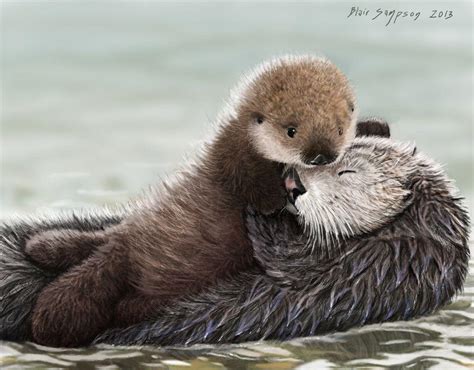 Find gifs with the latest and newest hashtags! Sea Otter Wallpapers - Wallpaper Cave