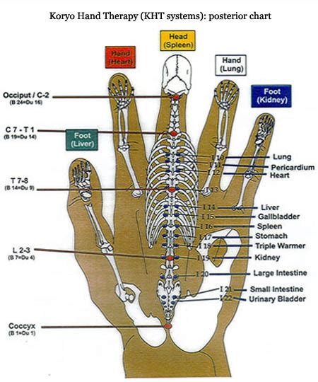 Reflexology Charts Hand Foot And Ear Reflexology Chart Tips