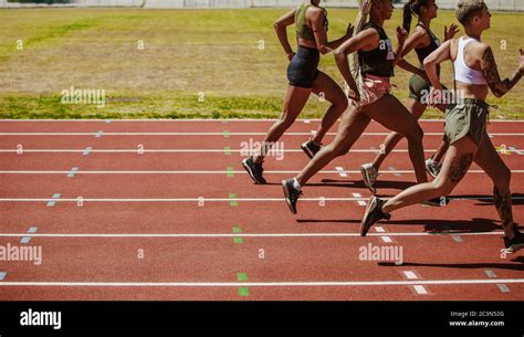 Athletics Finishing Line Running Track Running Sport Determination