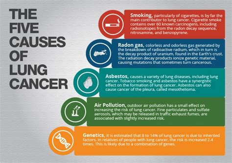 So if you notice any symptoms or changes get them checked out by your gp as soon as. Lung Cancer in India - Important Facts | Positive Bioscience